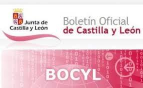 Imagen BOLETÍN OFICIAL DE CASTILLA Y LEÓN