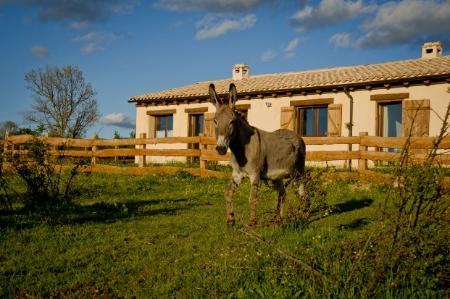 Imagen Granja El Enebral