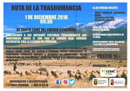 Imagen RUTAL DE LA TRASHUMANCIA